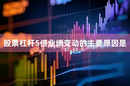 股票杠杆5倍业绩变动的主要原因是
