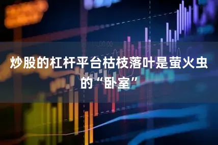 炒股的杠杆平台枯枝落叶是萤火虫的“卧室”